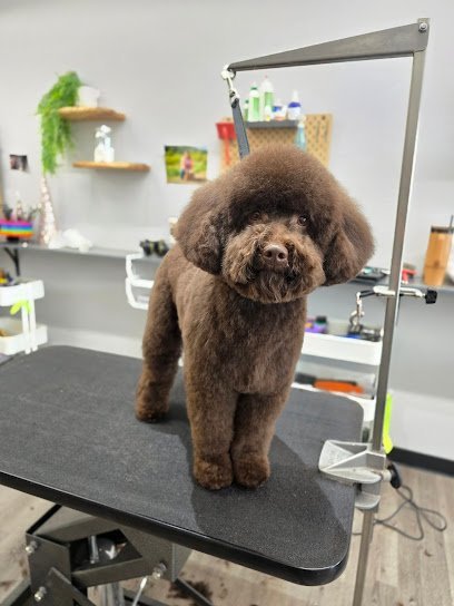 Dog day care in Heber City Utah Mountain Dog Lounge 1