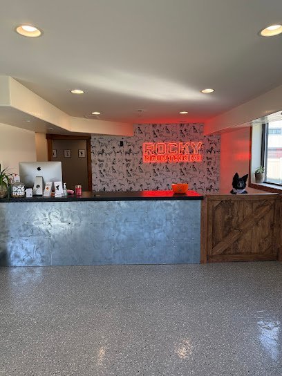 Dog day care in Heber City Utah Rocky Mountain K9 Dog Boarding Daycare Training Grooming Heber City 1