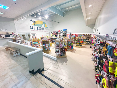 Dog day care in Hilton Head Island South Carolina All About Pets 1