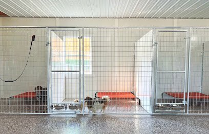 Dog day care in Howard Pennsylvania Peaceful Valley Dog Boarding 1