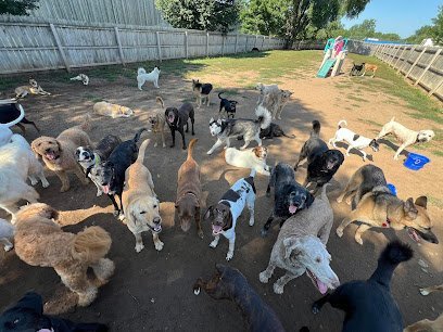 Dog day care in Hudson Wisconsin K9 Playtime Dog Day Care Boarding 1