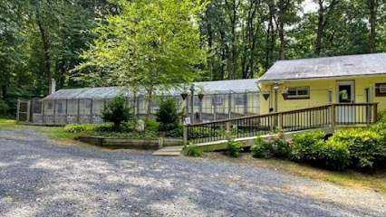 Dog day care in Hummelstown Pennsylvania Alpine Kennels and Grooming 1