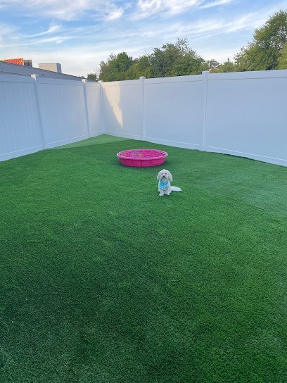 Dog day care in Huntingdon Valley Pennsylvania Regal Paws 1