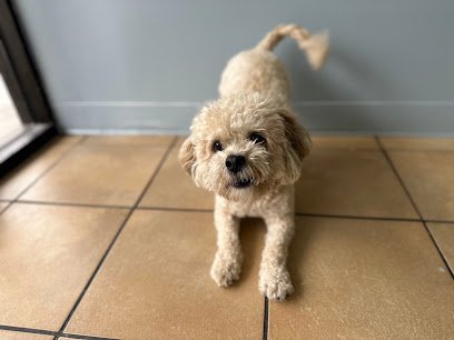 Dog day care in Huntington West Virginia Berk Kais House 1