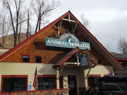 Dog day care in Jackson Wyoming VCA Spring Creek Animal Care Hospital 1