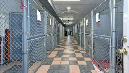 Dog day care in James Store Virginia Sandy Creek Pet Resort 1