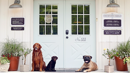 Dog day care in Johns Island South Carolina Chucktown Charley 1