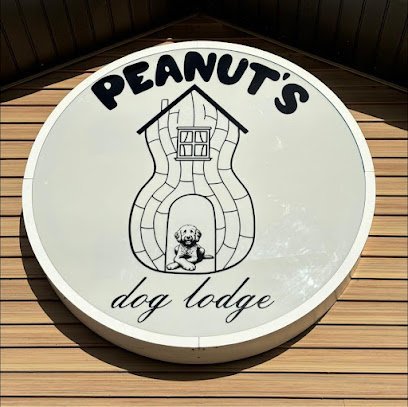 Dog day care in Kronenwetter Wisconsin Peanuts Dog Lodge 1