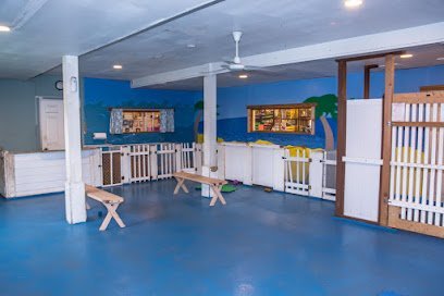 Dog day care in Lake Geneva Wisconsin The Dog Spot Of Lake Geneva 1