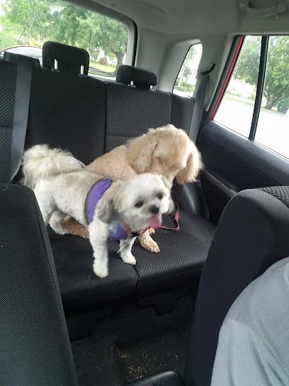 Dog day care in Lancaster Pennsylvania Oscar s Pet Resort of Greenfield Inc 1