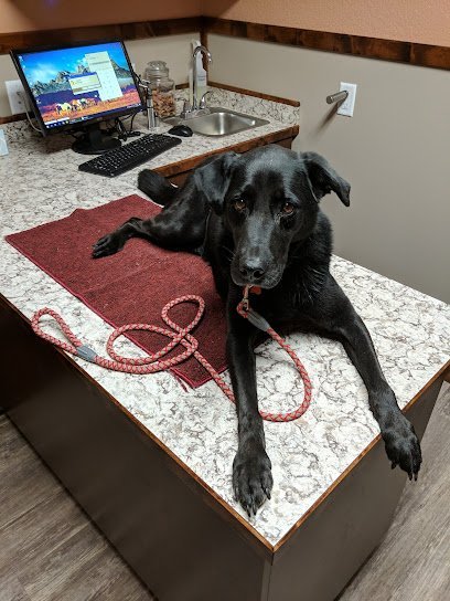 Dog day care in Laramie Wyoming Animal Health Center LLC 1
