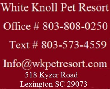 Dog day care in Lexington South Carolina White Knoll Veterinary Hospital Pet Resort LLC 1
