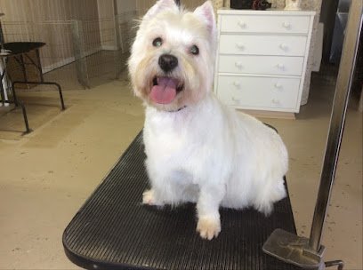 Dog day care in Lincoln University Pennsylvania Camp Ruffcuts Day Spa 1