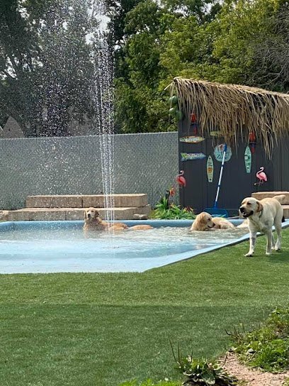 Dog day care in Little Chute Wisconsin Buster s Buddies Dog Daycare Grooming and Boarding 1