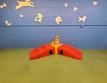 Dog day care in Longview Washington Rruff House 1