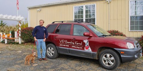 Dog day care in Lovettsville Virginia VIP Boarding Kennel 1