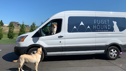 Dog day care in Lynden Washington Rover Stay Over 1