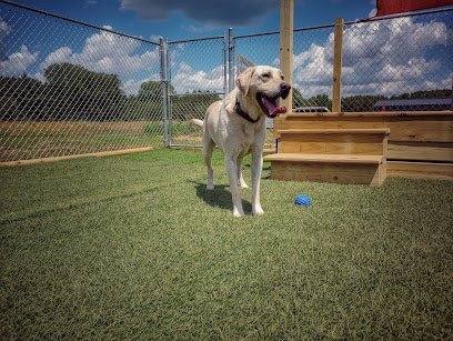 Dog day care in Lyndon Station Wisconsin Hanks Tail Wag Inn 1