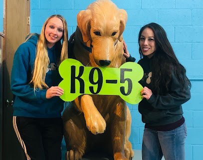 Dog day care in Madison Wisconsin K9 5 Dog Daycare 1