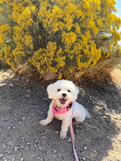 Dog day care in Magna Utah Aunt Ernie s Pet Parlor 1