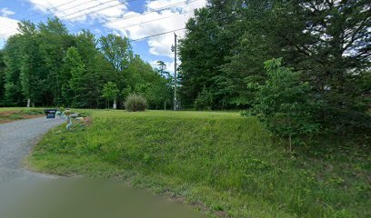 Dog day care in Manassas Virginia Dana s Dog Care 1