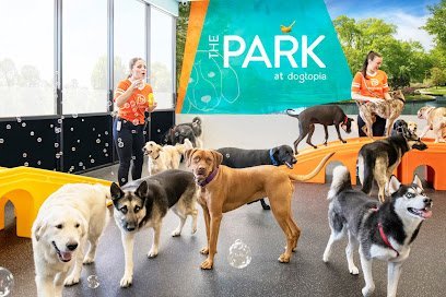 Dog day care in Manassas Virginia Dogtopia of Manassas 1