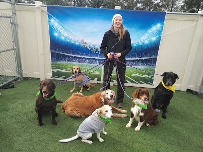 Dog day care in Manheim Pennsylvania Canine Country Club Inc 1