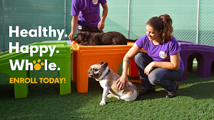 Dog day care in Manitowoc Wisconsin Central Bark Manitowoc 1