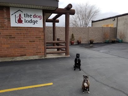 Dog day care in Midvale Utah The Dog Lodge 1