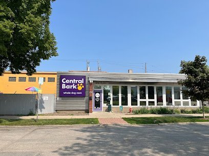 Dog day care in Milwaukee Wisconsin Central Bark Milwaukee Eastside 1