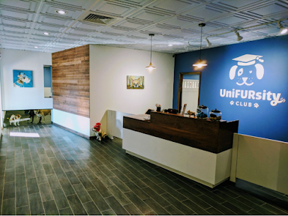 Dog day care in Milwaukee Wisconsin UniFURsity Club 1