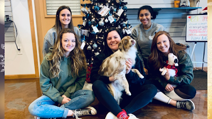 Dog day care in Monroe Wisconsin Charlie s Bark Park Monroe 1