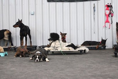 Dog day care in Monroe Wisconsin Memphis Co LLC 1