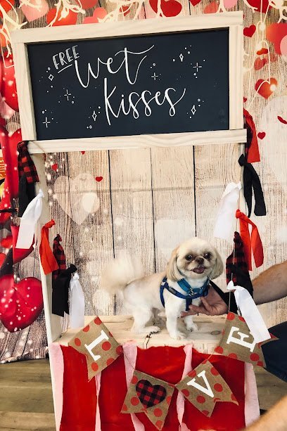 Dog day care in Monroeville Pennsylvania The Dog Stop 1