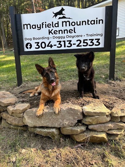 Dog day care in Morgantown West Virginia Mayfield Mountain Kennels 1