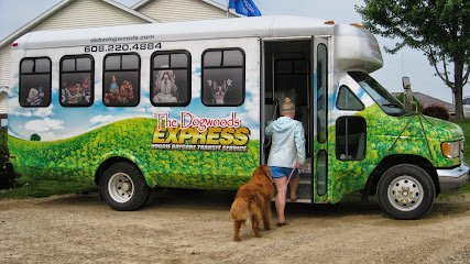 Dog day care in Mt Horeb Wisconsin The Dogwoods 1