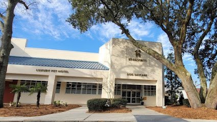 Dog day care in Mt Pleasant South Carolina K9 Resorts Luxury Pet Hotel Mount Pleasant 1
