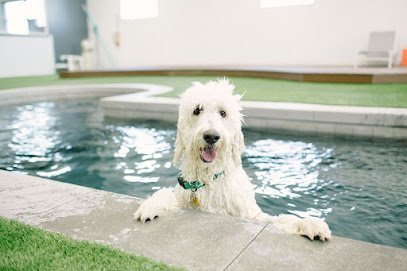 Dog day care in Murray Utah Unleashed Dog Hotel 1