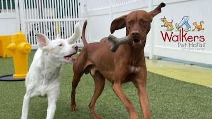Dog day care in Murrysville Pennsylvania Walkers Pet HoTail Pet Care Center 1