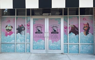 Dog day care in Myrtle Beach South Carolina Diva Dogs Day Spa 1