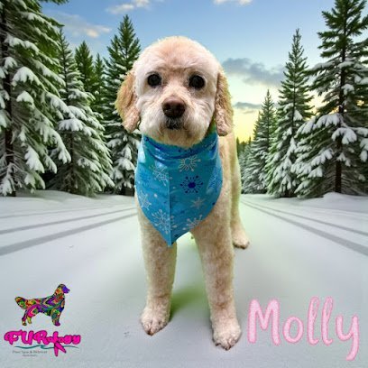 Dog day care in Myrtle Beach South Carolina FURology Paw Spa Retreat 1