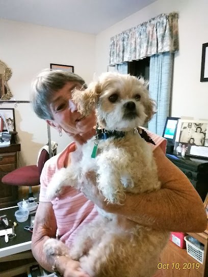 Dog day care in New Bloomfield Pennsylvania Mrs D s Doghouse 1