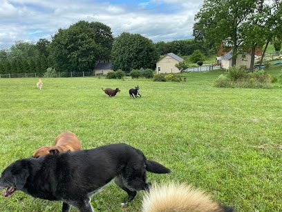 Dog day care in New Tripoli Pennsylvania Priority Dog 1