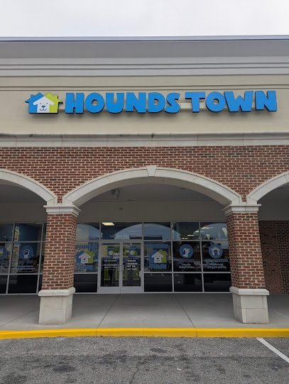 Dog day care in Newport News Virginia Hounds Town Newport News 1