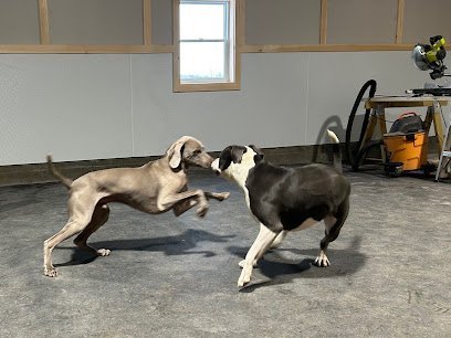 Dog day care in Newport Vermont Stubbs Dog House 1