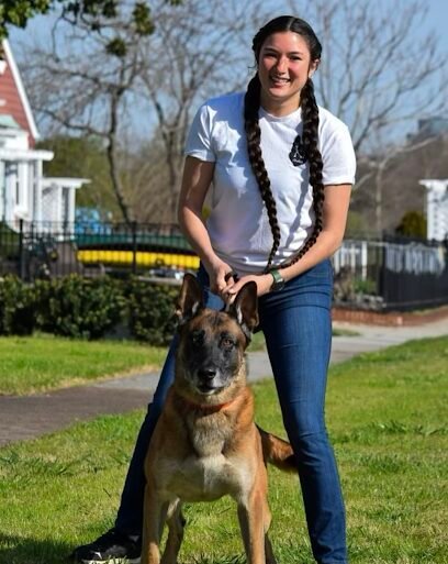 Dog day care in Norfolk Virginia K9Aholics Dog Training 1