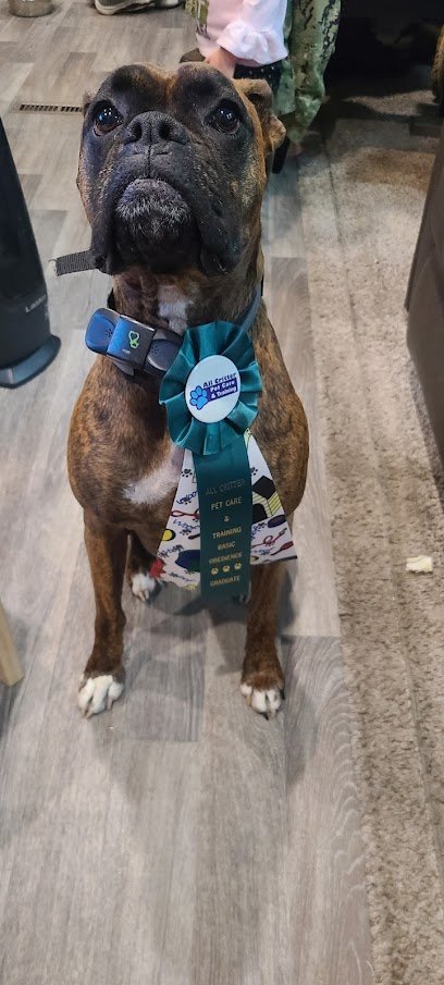 Dog day care in Oak Harbor Washington All Critter Pet Care Training LLC 1