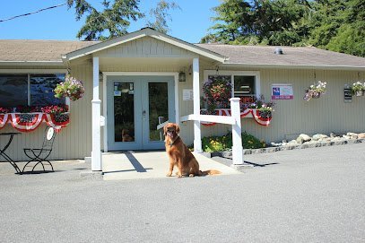 Dog day care in Oak Harbor Washington Sunset Kennel Grooming 1