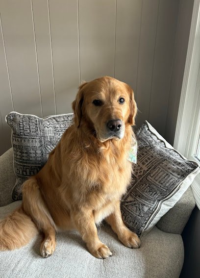 Dog day care in Oconomowoc Wisconsin Crowned Hound LLC 1