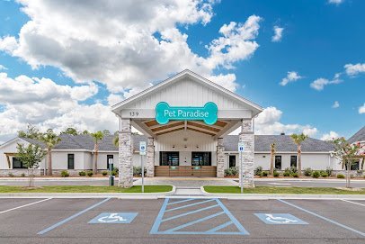 Dog day care in Okatie South Carolina Pet Paradise Hilton Head 1